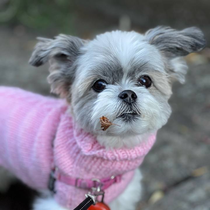 Ddfec2cb 165d 4617 be35 493be7273171 1701941582100