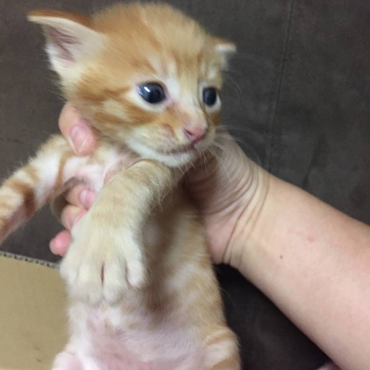 Ddfed35b 34cd 40a8 a22d 6805554240d0 1532256828246