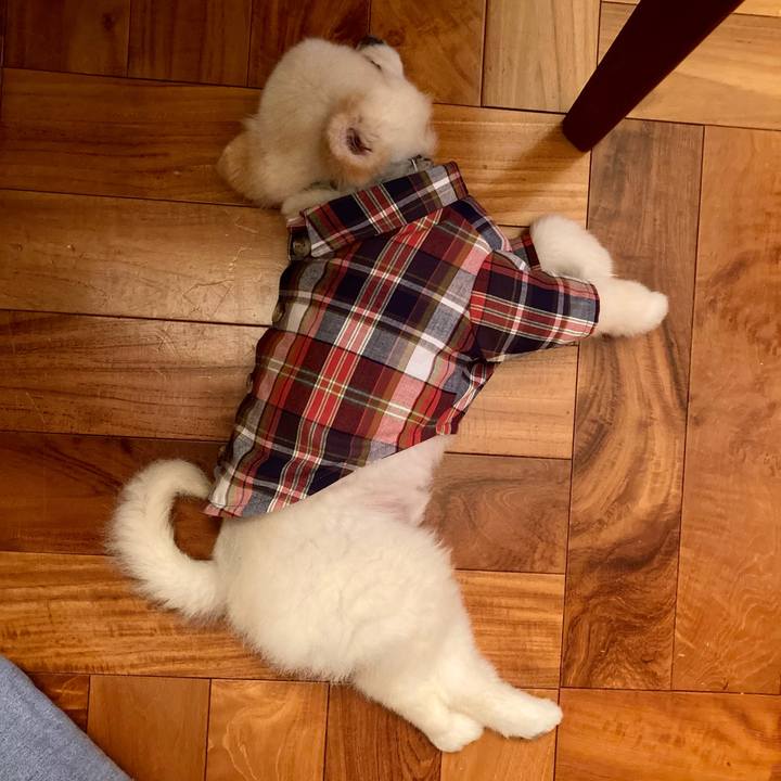 Ddfede8d 2a75 4a26 812a da69c44f4f15 1621813432980