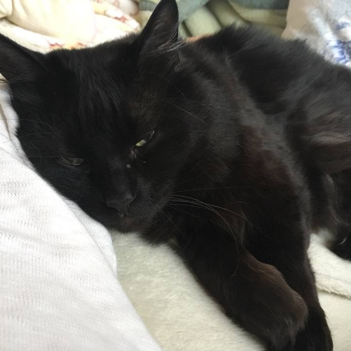 Ddff0758 6bda 4589 aeb7 caef5cc9f0d1 1520211968946