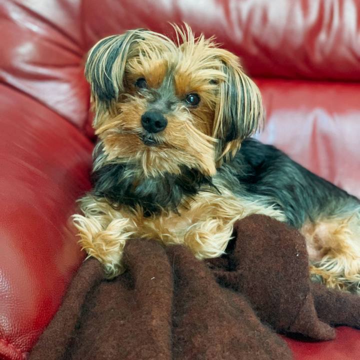 Ddff09c8 52ce 4116 897e bd3246b1df0b 1611874340208