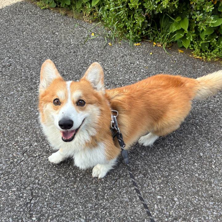 Ddff3d4e 922a 4cd9 b64b 8e2b1cd6a472 1776645227504