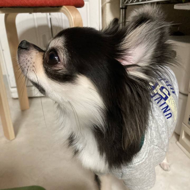 Ddff516c 7101 42e9 b9d8 80471ca85d2b 1639231647982