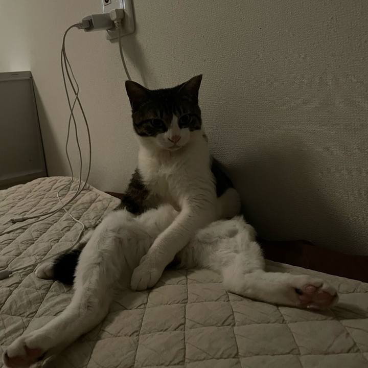 Ddff6490 8c19 4d2f 93c3 ac4768433315 1743735255218