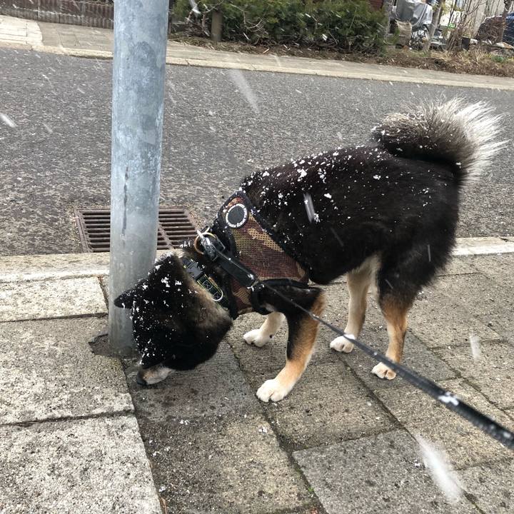 Ddff6eb3 a03f 4c92 a4b0 084187411c5b 1617873761459