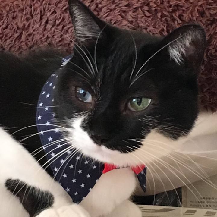 Ddffd253 71be 49cb 92f5 80f0fbf309b3 1509795086736