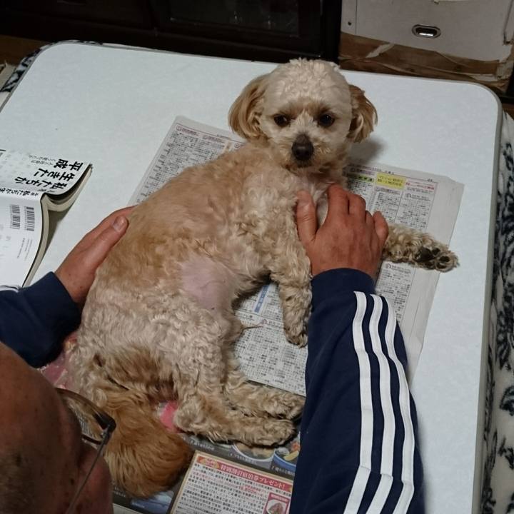 De0003e1 d563 48d7 951f d49ea72a31a8 1557055565082