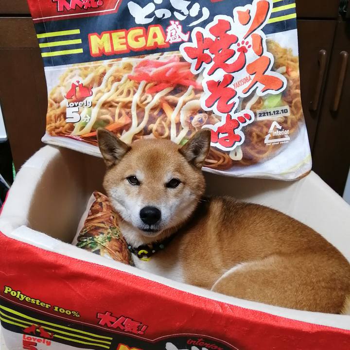 De002bbe 1da8 4af0 a334 7b08a3de9d65 1608367600952