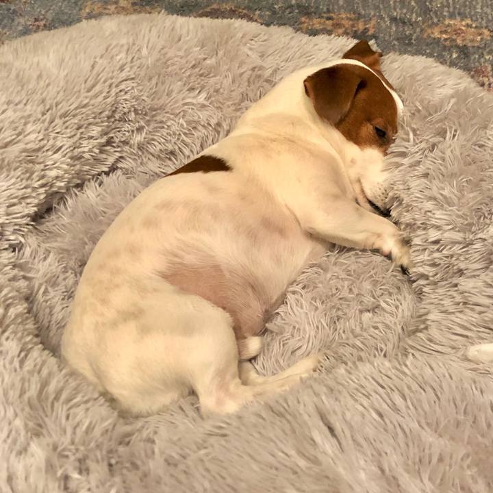 De003f16 8cc0 46da 940f 7aa71a8ae22c 1643536895263