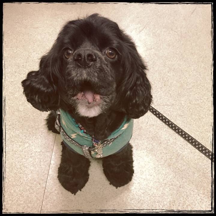 De005003 bce1 43a3 8397 6c743b5c5ca7 1518749724638