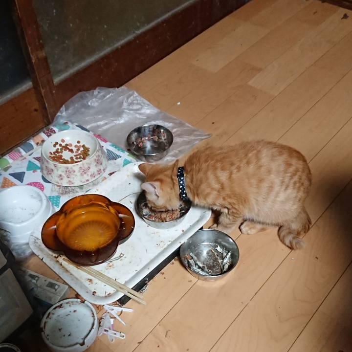 De005273 dc12 453a ae61 ed72eef991ad 1634503677472