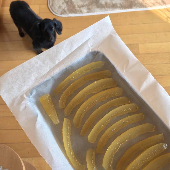 De00a85f 2301 487f 9777 f240387f90e0 1521933802140