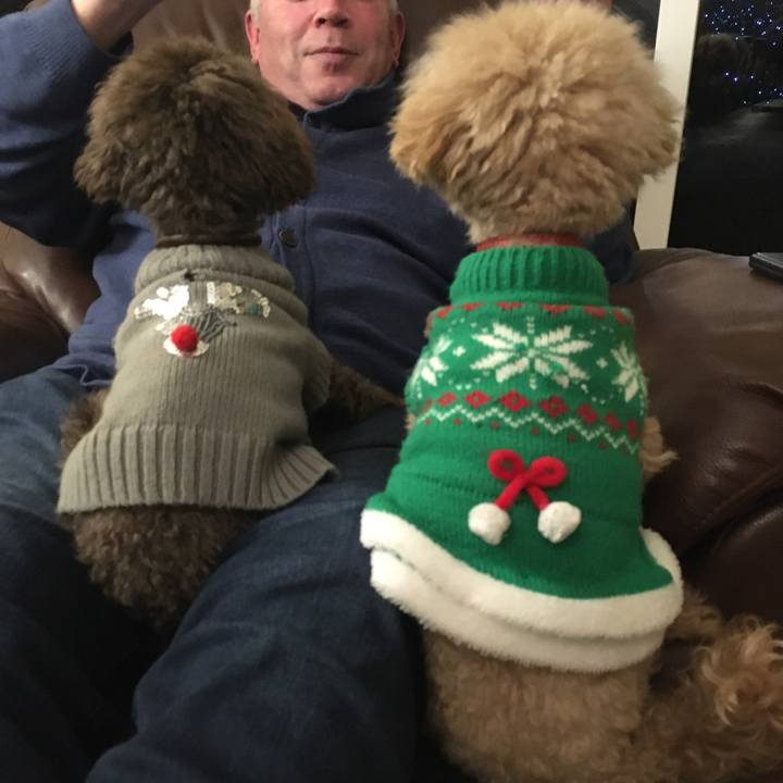 De00beb5 0cc0 403d 8dbe 02b848b2d030 1577439152312