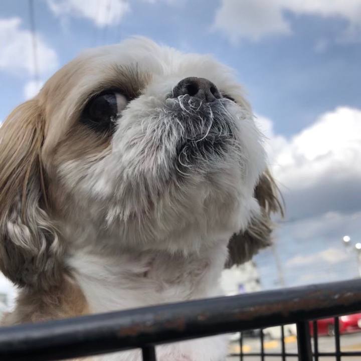 De00bff8 4461 472c ba56 98e3837a7e1e 1558647956075