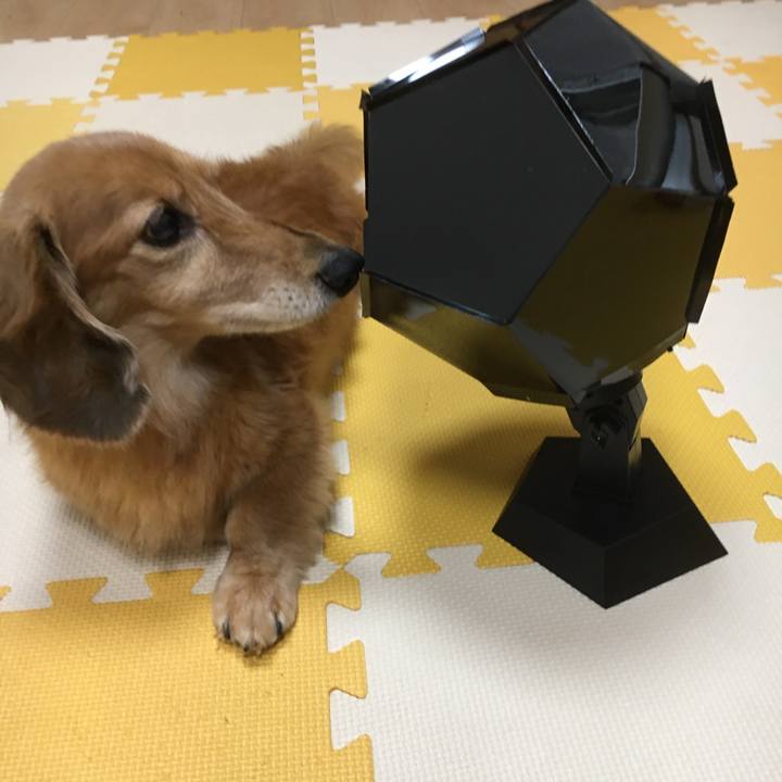 De00ce76 9b70 4c0a 8b0c 40a20ef5c1cb 1628851105693