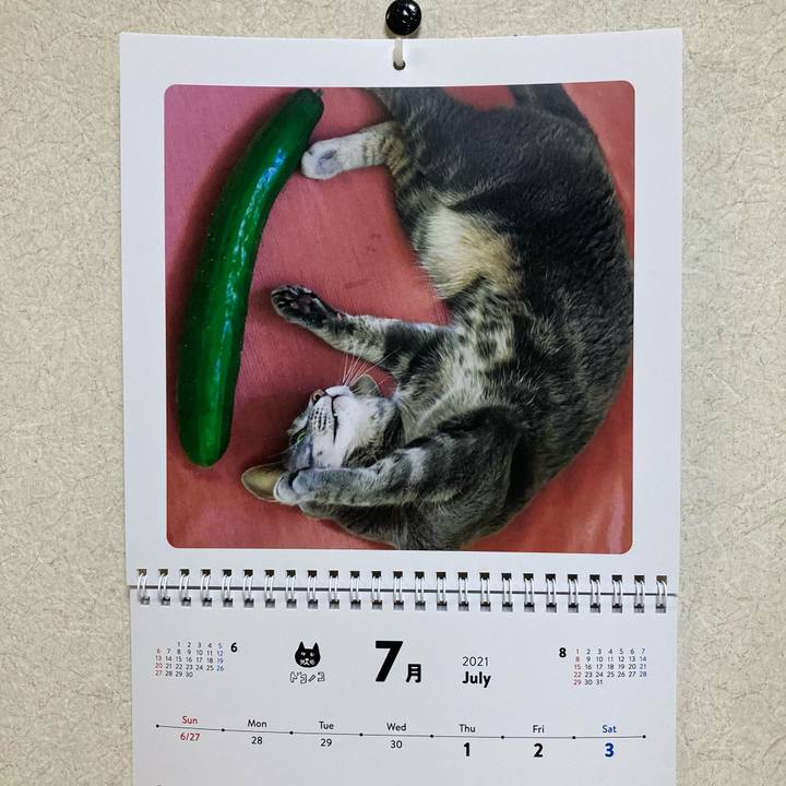 De016fcf fbc5 4550 aa3c a783f9f86f89 1625136219353