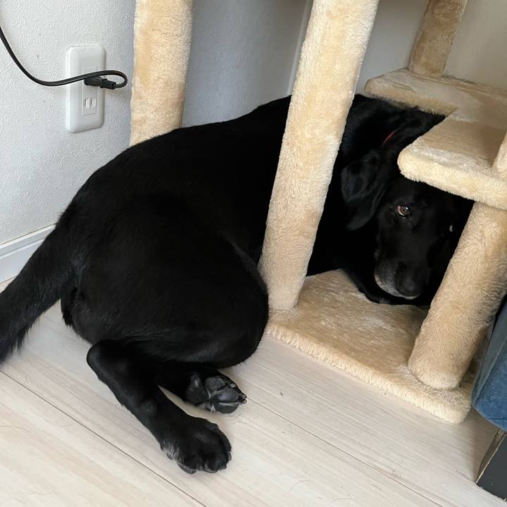 De019d06 430b 431c 9539 09060fc143ef 1716773965890