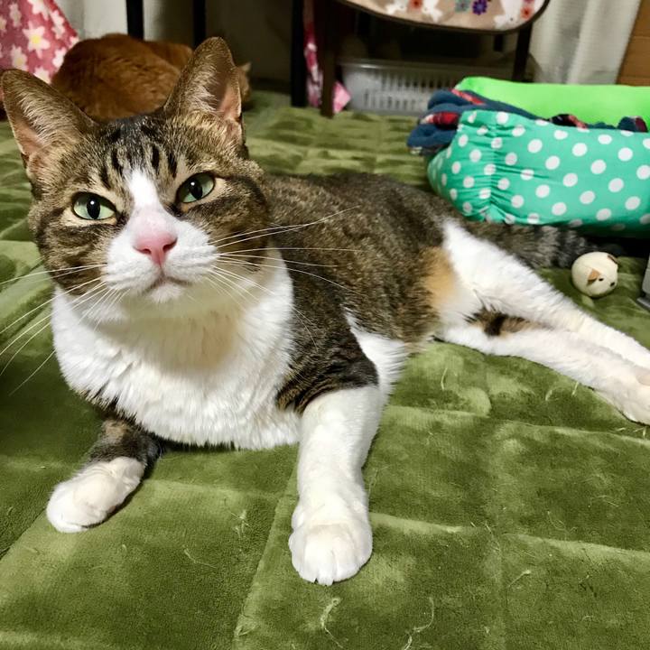 De01ebf8 7f57 4f36 8236 131af2ca0a8c 1517826565224