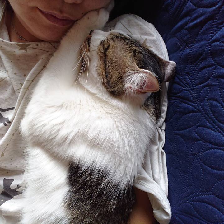 De022ea9 6745 485a 89cd fa2cececd68f 1633824228656