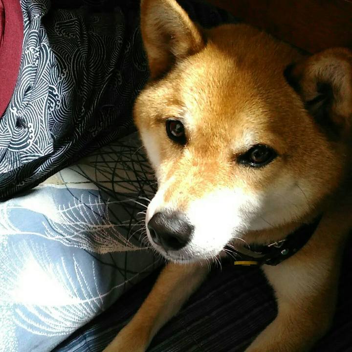 De02582e 7c1c 4354 ab9e 45a37974ee15 1563618153612