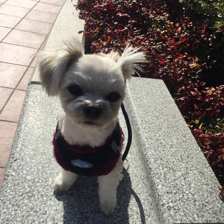 De025bec 7c4e 41ad 8cba fc54da066657 1520672373549