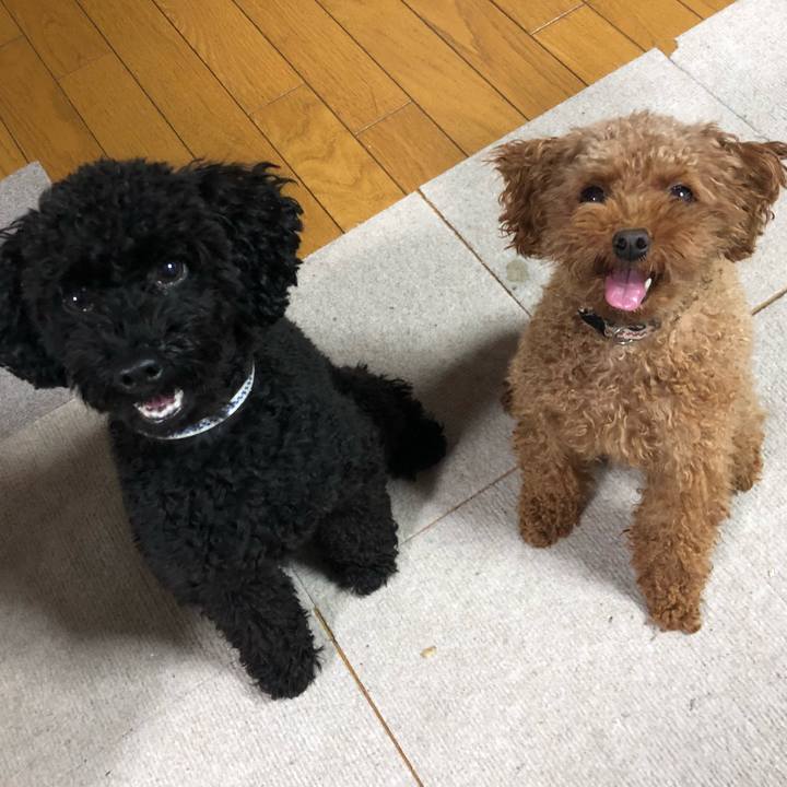 De029de8 15d7 406b 8176 905490043dfc 1541456689388