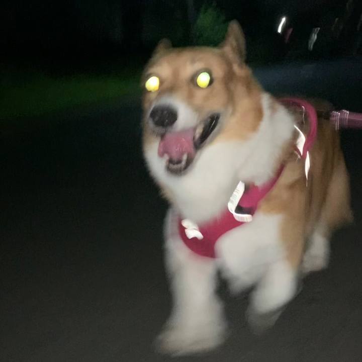 De02ab6c 3734 4f33 8db4 a16e37a40cdf 1663324326597