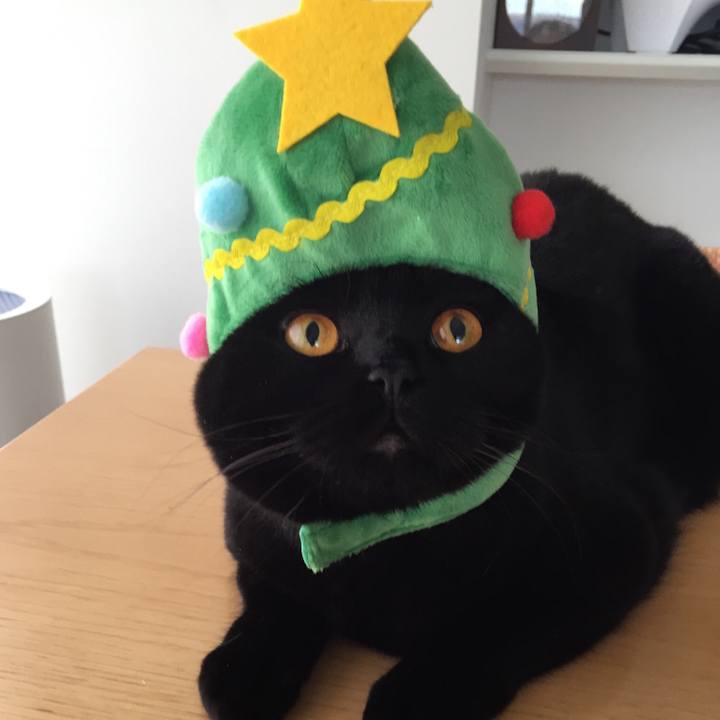 De02b6db 34f6 459f 89f5 4fc4320ca0f7 1514154221448