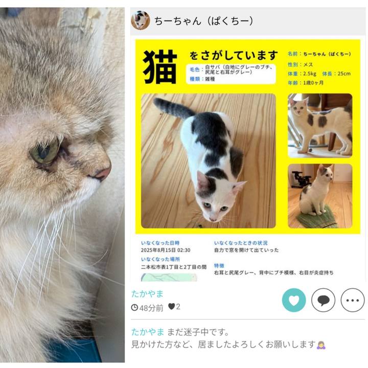 De02ba52 9d42 425e a181 0c29c72d36ab 1755924331304