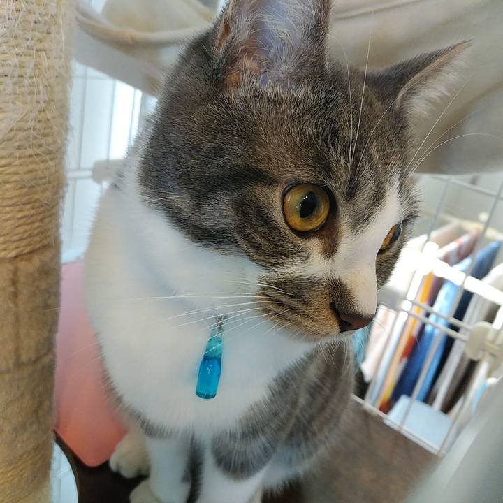 De02f96d f04e 4031 83c1 72e1060a1ab9 1576292097254