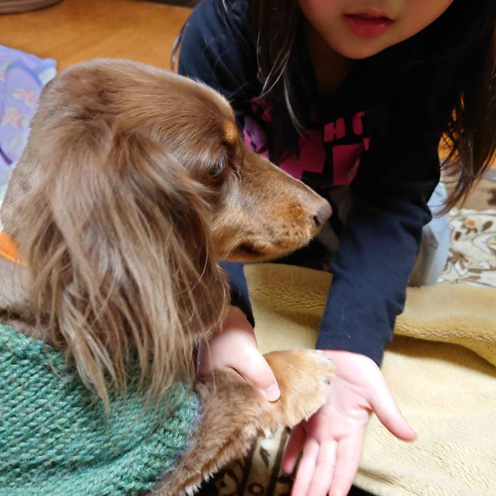 De031799 d062 47b0 95b0 6ed71643ef7f 1640957515502