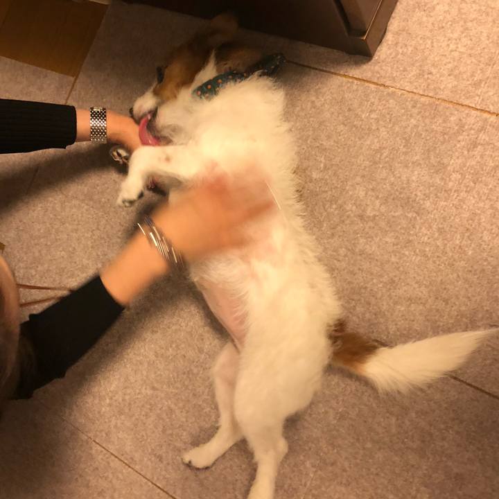 De031f0a f8d2 40e4 8ac7 2b1542719c1f 1577615398025