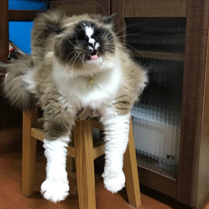 De033e76 906c 45a9 9d84 0a2326846889 1523919698379