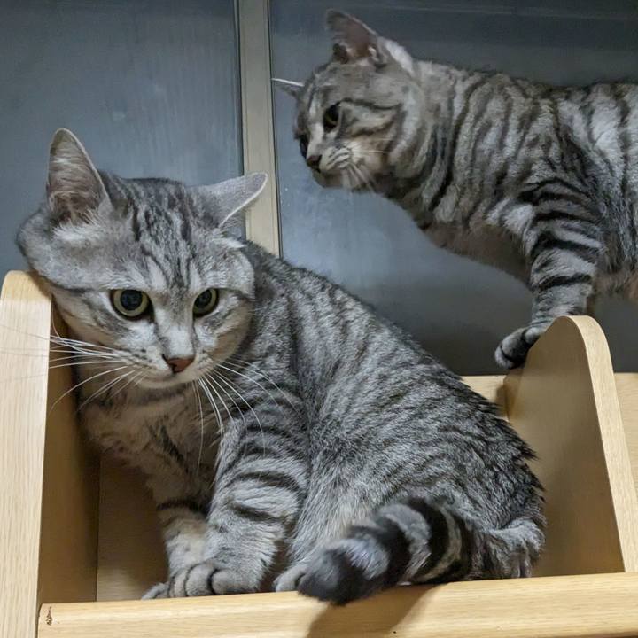 De034578 8854 4390 add1 06e601898faf 1705924708698