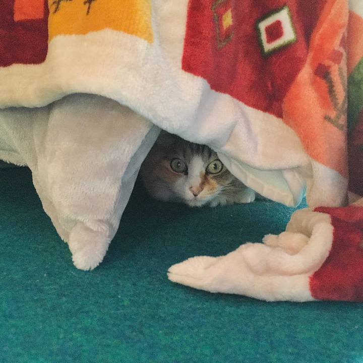 De035947 8de0 4cc5 a082 f6ee1b1ee40e 1605857966192