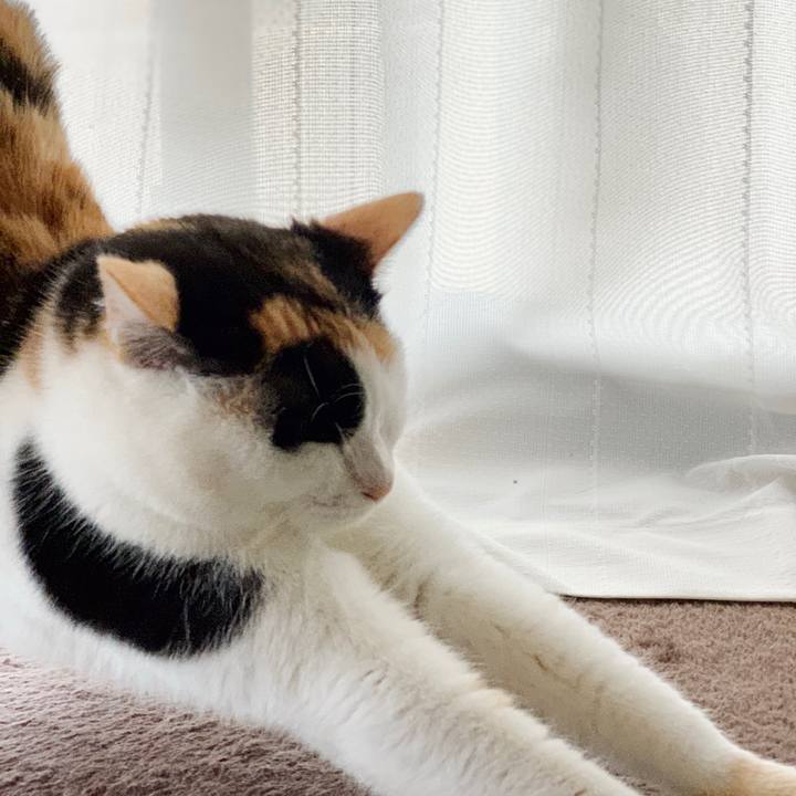 De036c02 c56a 44b6 b9d9 fa6f65eefe3d 1552009784587