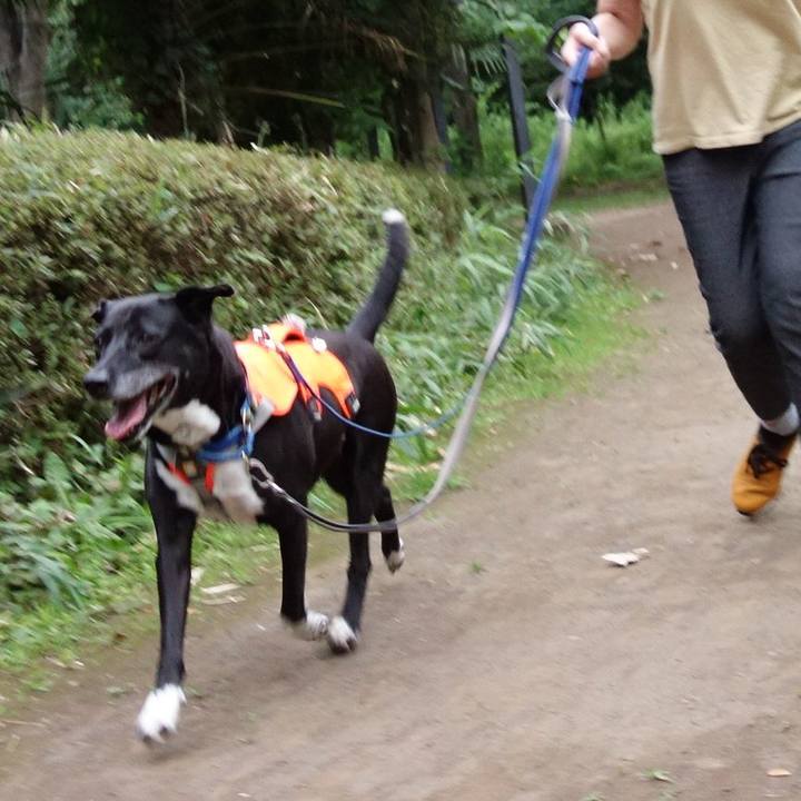 De03800a dc05 4c98 9acd 32ef9fd679cf 1719485168336