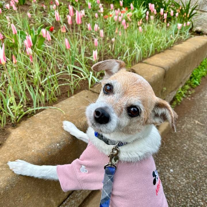 De03aa62 83d4 475a b37b 07e4deaba396 1679997610953