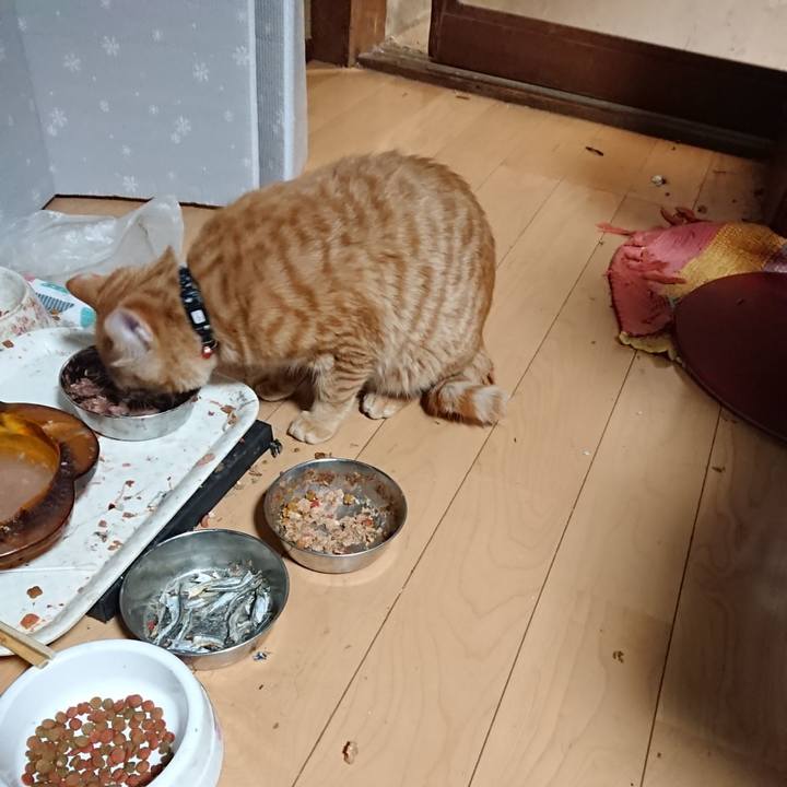 De03e1ac be72 4c3f 8b12 57e5ac80468d 1640119541941