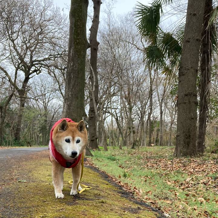 De03f6b4 cc5d 4b24 8c86 182dbba59f09 1773970828639