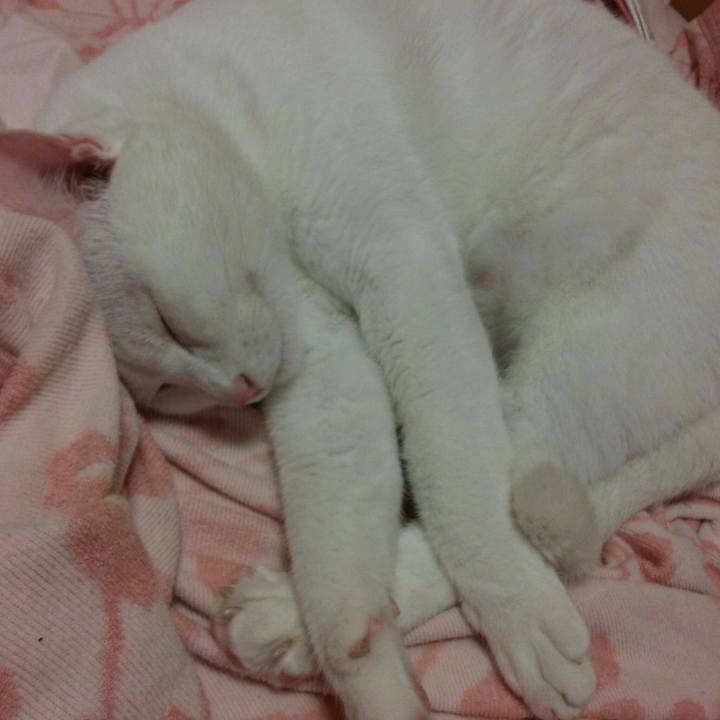 De03f740 e0fc 449d 8ff5 07b82f50e1dc 1528894043871