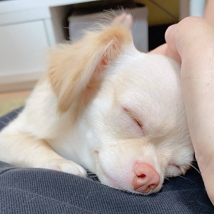 De04062c 5c92 40ab a553 fa732dff3856 1596027688642