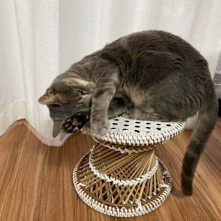 De040ca0 1e15 44e9 a91b 26127934f7a7 1620462556952