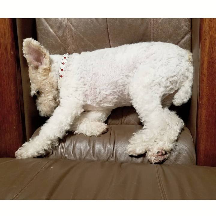 De0452de f7ce 471d b0d3 8d9822b30287 1592863746153