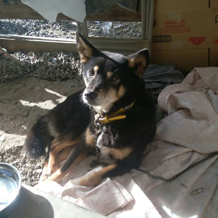 De0464dc 5225 42c7 b236 adc6bb6d197c 1513989922063