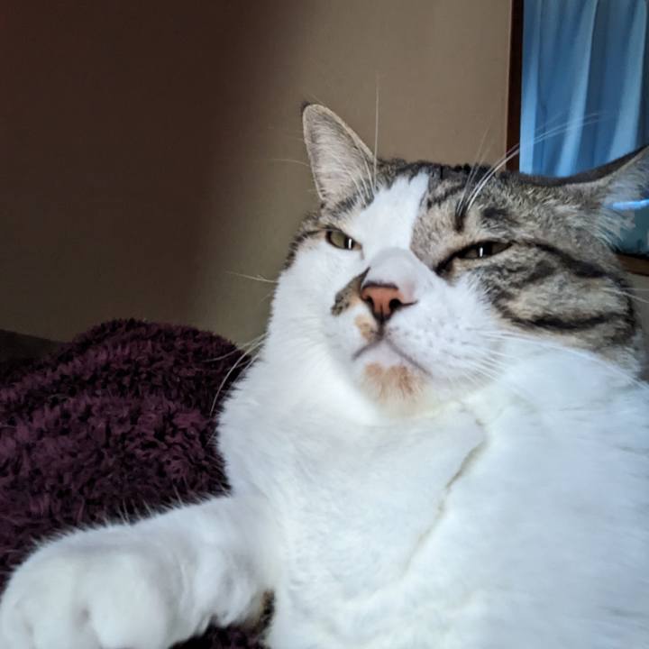 De046d73 1b94 4e68 b4a9 bb9aba094786 1707698255304