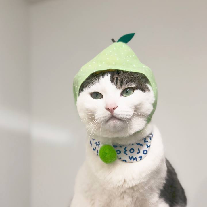 De04dd1b 23a6 423c a501 5c96d7940e48 1527406438190