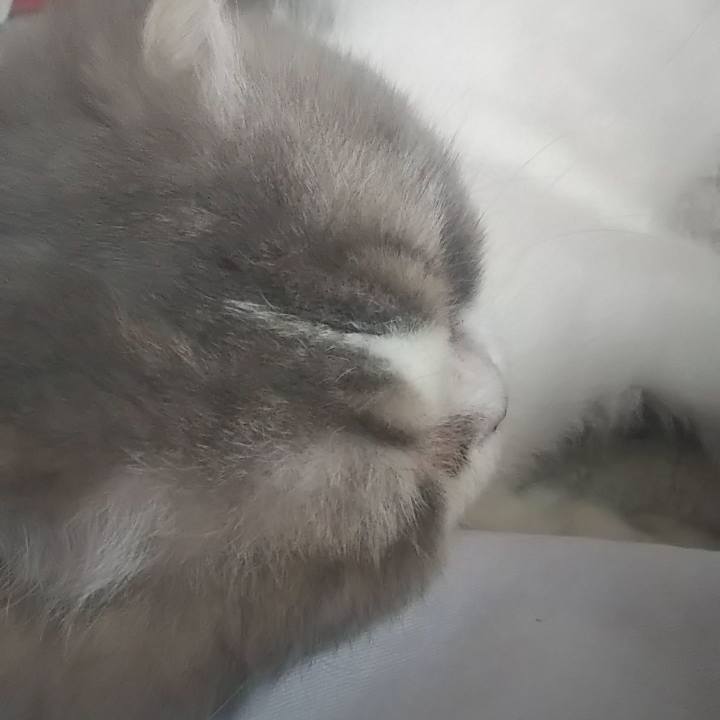 De04ed30 2b2f 4a5d 8d90 a5debee2cccc 1626856609100