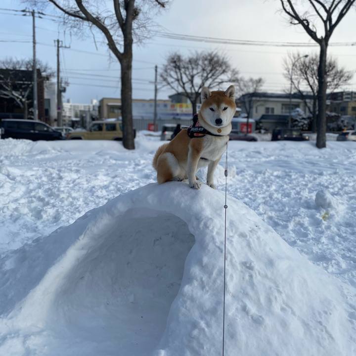 De052abf e3e4 4e24 91f6 eefa2566c174 1612836995116