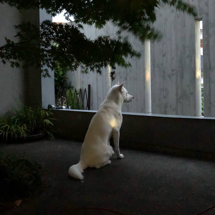 De053c11 f016 42ca 9df1 b08a21cfe2e7 1559912052505